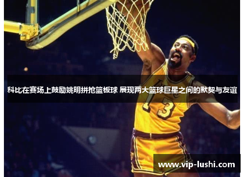 科比在赛场上鼓励姚明拼抢篮板球 展现两大篮球巨星之间的默契与友谊