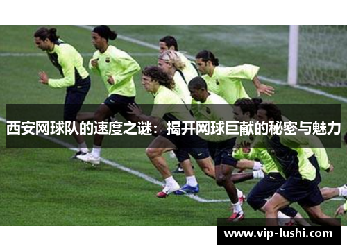 西安网球队的速度之谜：揭开网球巨献的秘密与魅力