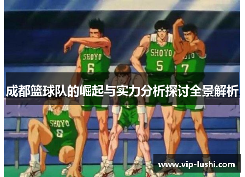 成都篮球队的崛起与实力分析探讨全景解析