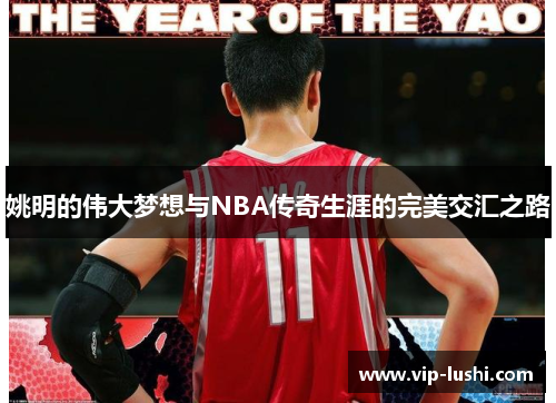 姚明的伟大梦想与NBA传奇生涯的完美交汇之路